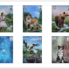 PDF Paño Lenormand 8x4+4 - Image 2